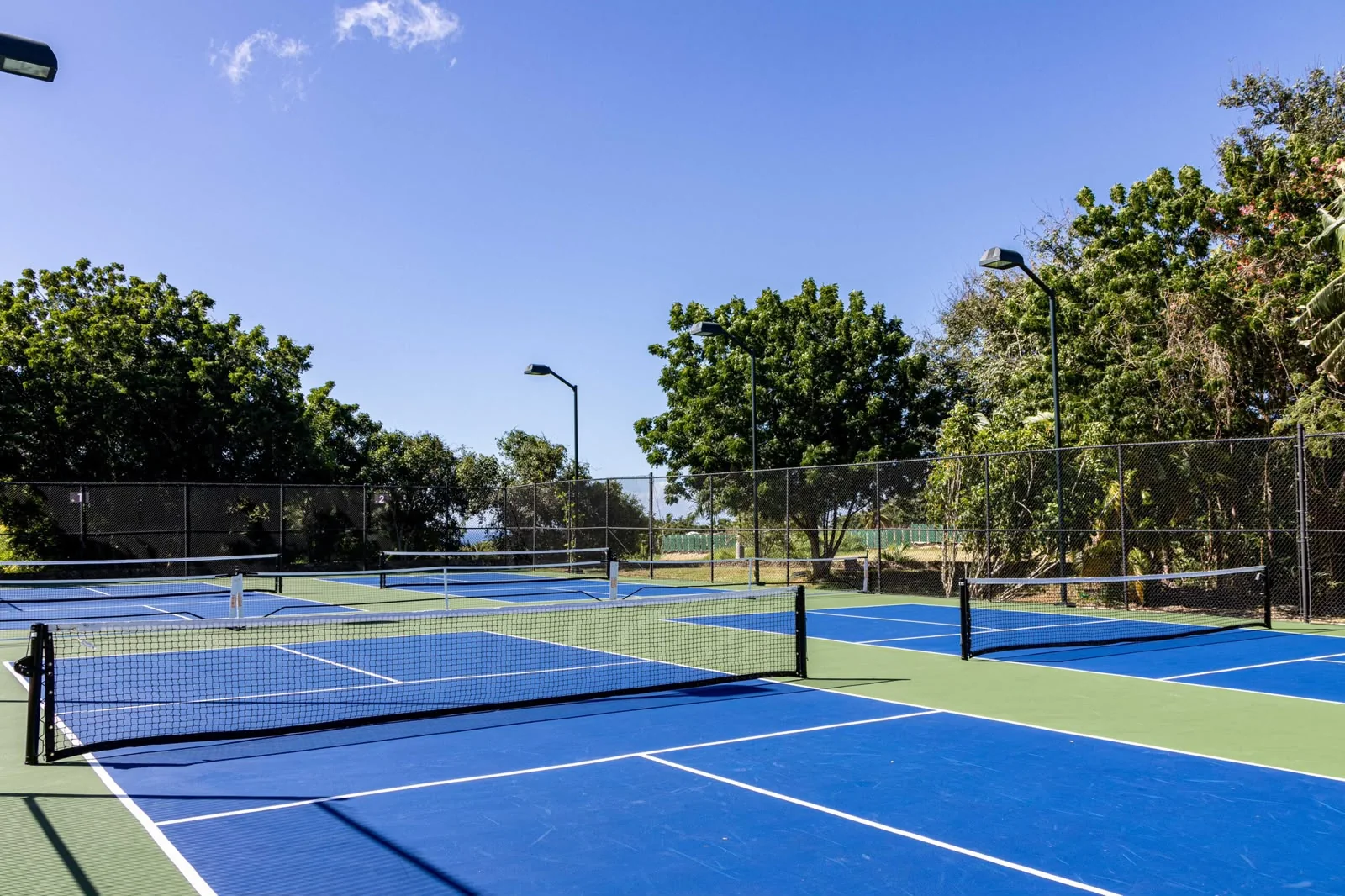 Canchas de pickleball en Casa de Campo, República Dominicana
